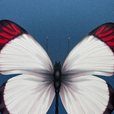 Обои 54401-8 Andrea Rossi Cheradi