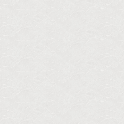 Обои W190113 Rasch Bright Whisper