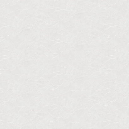 Обои W190113 Rasch Bright Whisper Rasch коллекция Bright Whisper производства  в интернет-магазине Обоитрейд