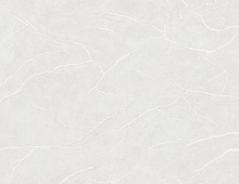 Обои W190113 Rasch Bright Whisper