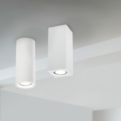 Потолочный светильник Technical Ceiling & Wall C010CL-01W