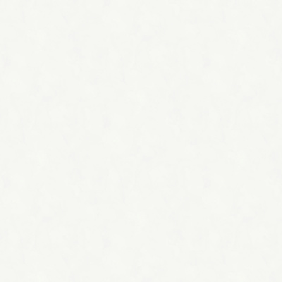 Обои W197001 Rasch Bright Whisper