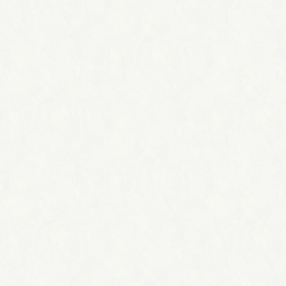 Обои W197001 Rasch Bright Whisper Rasch коллекция Bright Whisper производства  в интернет-магазине Обоитрейд