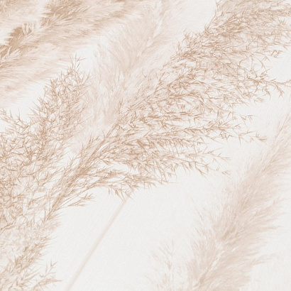 Обои VV72086-21 VOG Cortaderia VOG коллекция Cortaderia производства РОССИЯ в интернет-магазине Обоитрейд