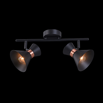 Спот Freya Loft FR4273-CW-02-B