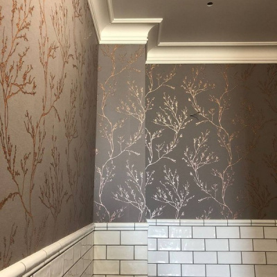 Обои 54386-4 Andrea Rossi Spectrum Pro