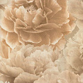 Обои 6001-03 Eurodecor Peony