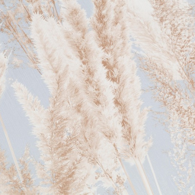 Обои VV72086-62 VOG Cortaderia