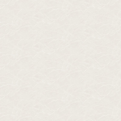 Обои W190102 Rasch Bright Whisper