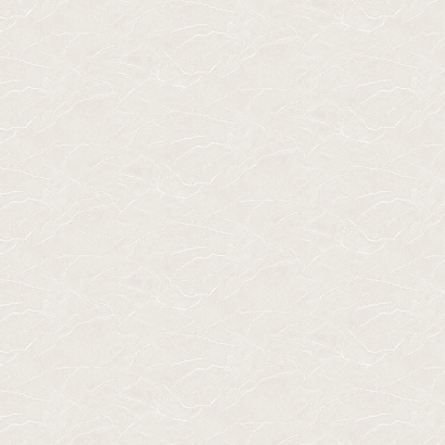 Обои W190102 Rasch Bright Whisper Rasch коллекция Bright Whisper производства  в интернет-магазине Обоитрейд