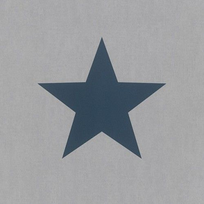 Обои 248104 Rasch Kids&Teens Rasch коллекция Kids&Teens производства Германия в интернет-магазине Обоитрейд