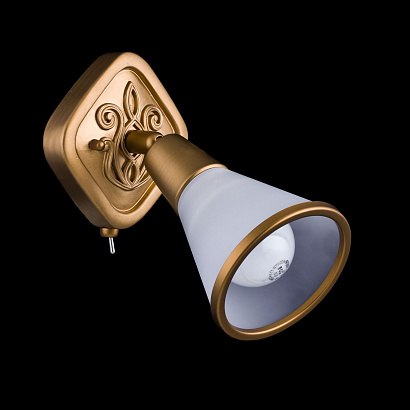 Спот Maytoni Spot SP008-CW-01-G