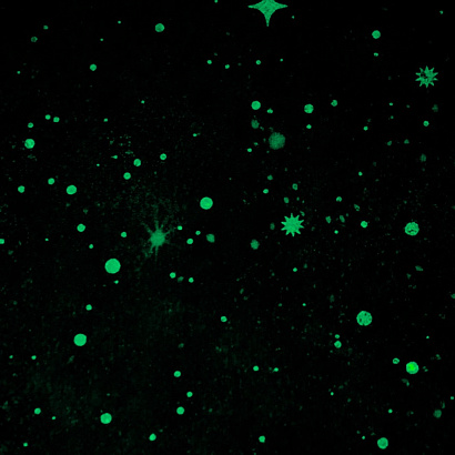 Обои HC72368-11 Home color Universe Светятся в темноте! Home color коллекция Universe производства РОССИЯ в интернет-магазине Обоитрейд