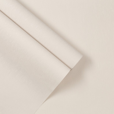 Обои SP72029-24 Палитра Simple Nutela