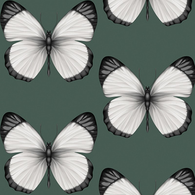 Обои 54401-5 Andrea Rossi Cheradi