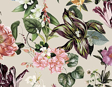 Обои 47461 Marburg Flora