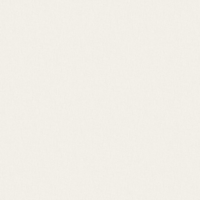 Обои W193026 Rasch Bright Whisper
