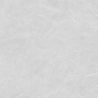 Обои W190123 Rasch Bright Whisper