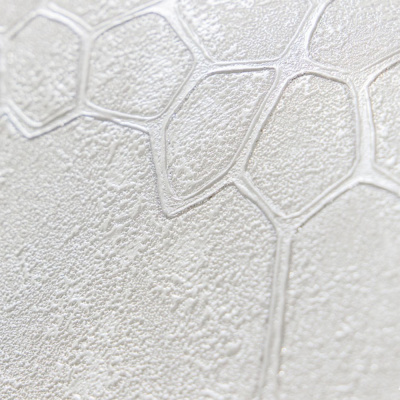 Обои 70586-11 R аспект Анаконда