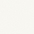 Обои W189101 Rasch Bright Whisper