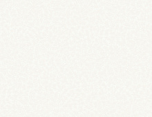 Обои W189101 Rasch Bright Whisper