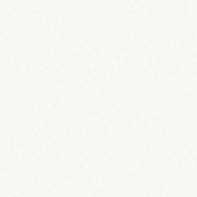 Обои W189101 Rasch Bright Whisper