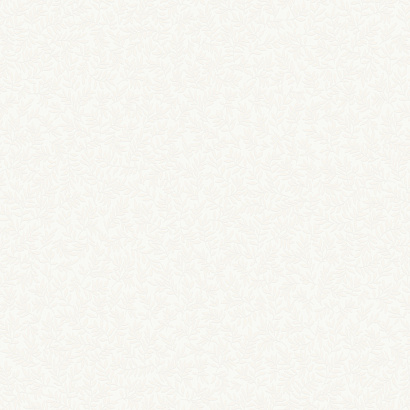 Обои W189101 Rasch Bright Whisper Rasch коллекция Bright Whisper производства  в интернет-магазине Обоитрейд