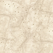 Обои A3207-4 Solo Orion