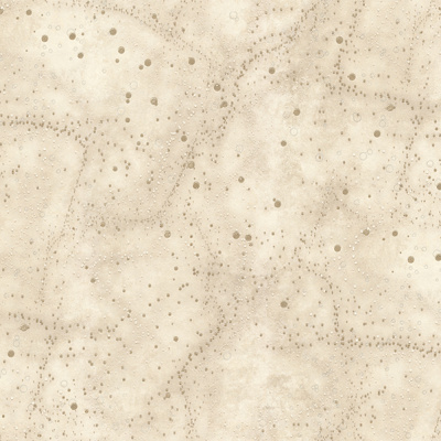 Обои A3207-4 Solo Orion