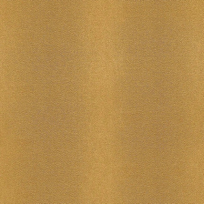 Обои 422900 Rasch African Queen Rasch коллекция African Queen производства Германия в интернет-магазине Обоитрейд