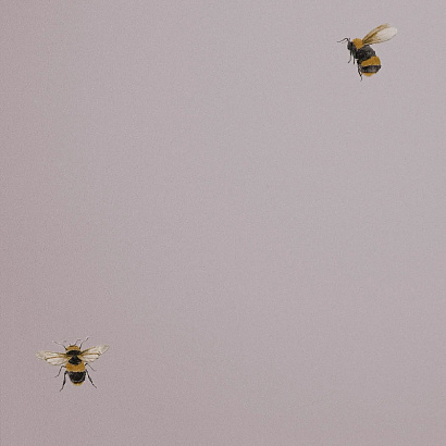 Обои 54419-5 Andrea Rossi Cavolli Andrea Rossi коллекция Cavolli производства Италия в интернет-магазине Обоитрейд