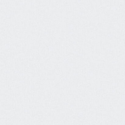 Обои 316322 Rasch Wall Up Step-Up Wall Up коллекция Step-Up производства РОССИЯ в интернет-магазине Обоитрейд