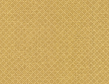 Обои GF60034 Gianfranco Ferre Home