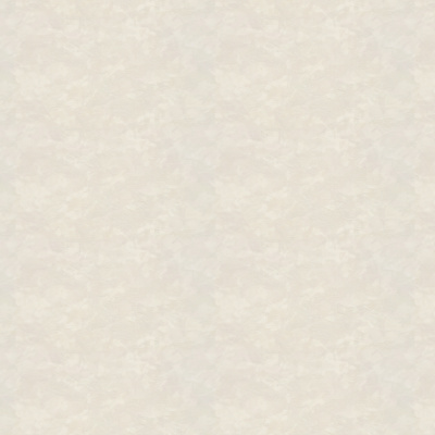 Обои R 24109 Fipar Meteora