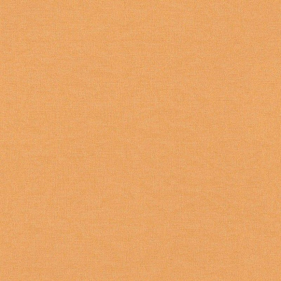 Обои 464085 Rasch Freundin Home Collection 3 Rasch коллекция Freundin Home Collection 3 производства Германия в интернет-магазине Обоитрейд