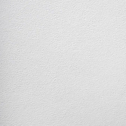 Обои 9010-070 NC Antivandal / NC Флизелин NC коллекция Antivandal производства РОССИЯ в интернет-магазине Обоитрейд