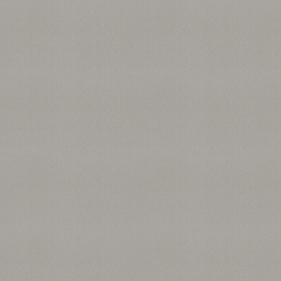 Обои 978575 Rasch Unitex Rasch коллекция Unitex производства  в интернет-магазине Обоитрейд