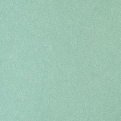 Обои 5068-77 Bernardo Bartalucci Legend