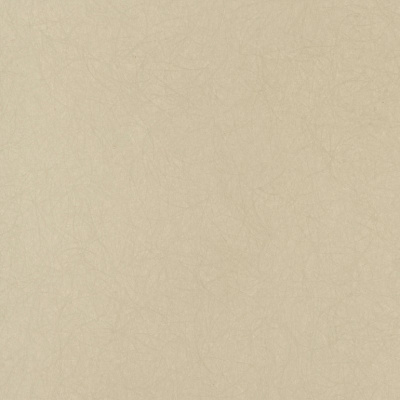 Обои 5068-68 Bernardo Bartalucci Legend