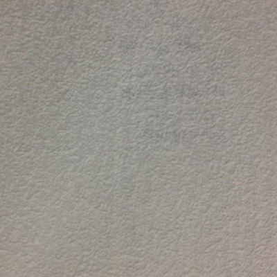 Обои 173116 Rasch Wallton