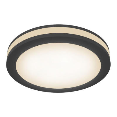 Встраиваемый светильник Technical Downlight DL303-L12B