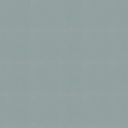 Обои 983555 Rasch Novella Rasch коллекция Novella производства Германия в интернет-магазине Обоитрейд