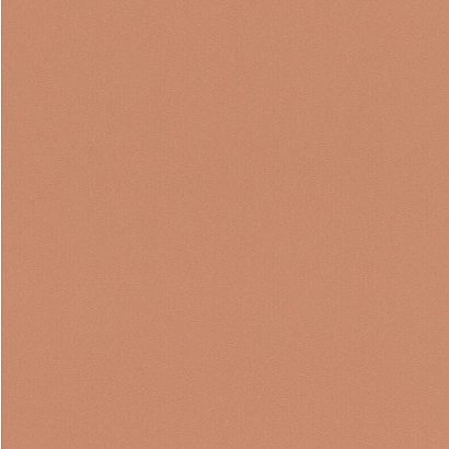 Обои 807608 Rasch Salsa Rasch коллекция Salsa производства Германия в интернет-магазине Обоитрейд