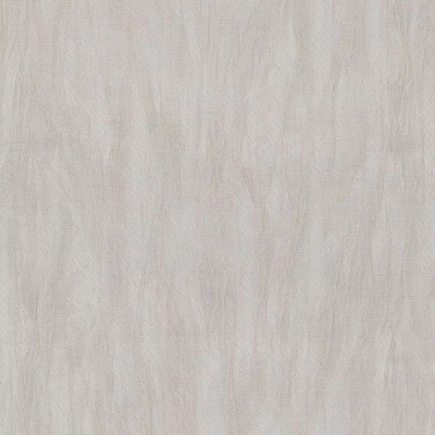 Обои 80622 Prima Italiana Голубь