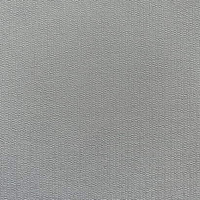 Обои 54381-11 Andrea Rossi Spectrum Pro Andrea Rossi коллекция Spectrum Pro производства Италия в интернет-магазине Обоитрейд