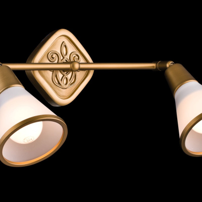 Спот Maytoni Spot SP008-CW-02-G