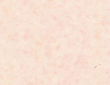 Обои BM27077 Blumarine Блюмарин №4