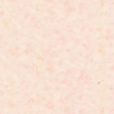 Обои BM27077 Blumarine Блюмарин №4