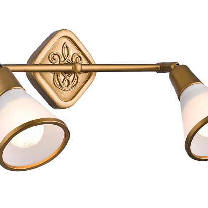 Спот Maytoni Spot SP008-CW-02-G