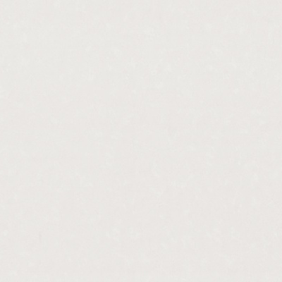 Обои HC71996-14 Palitra Home Color Пионы